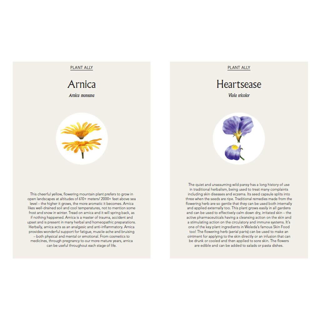 Natural Wellness Every Day Book