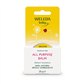 All Purpose Balm 25g